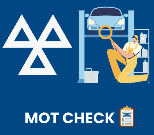 mot check pic